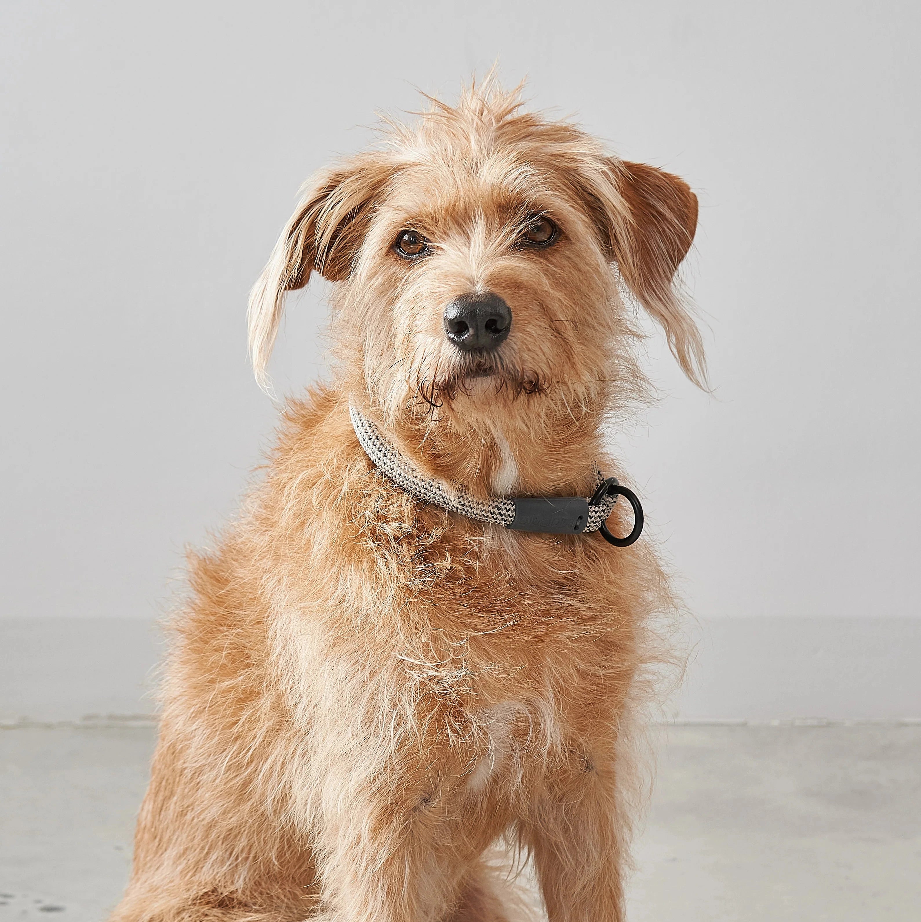 Monza – Collier design en corde nylon premium