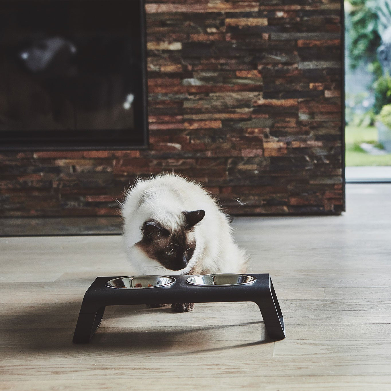 Desco – Gamelle design en bois et acier inoxydable pour chat