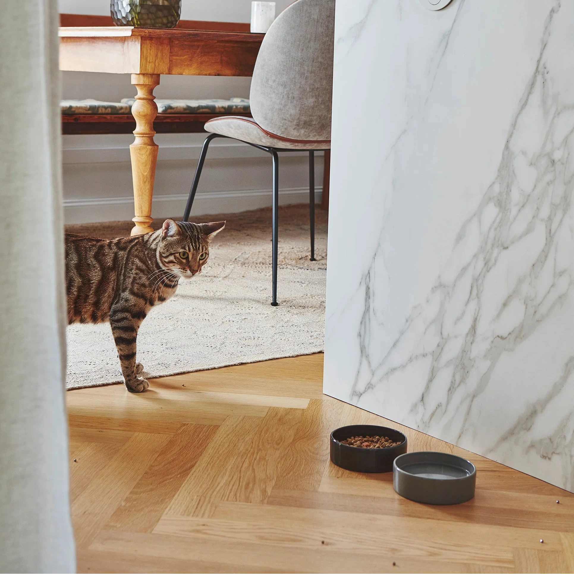 Scodella – Gamelle design en porcelaine pour chat