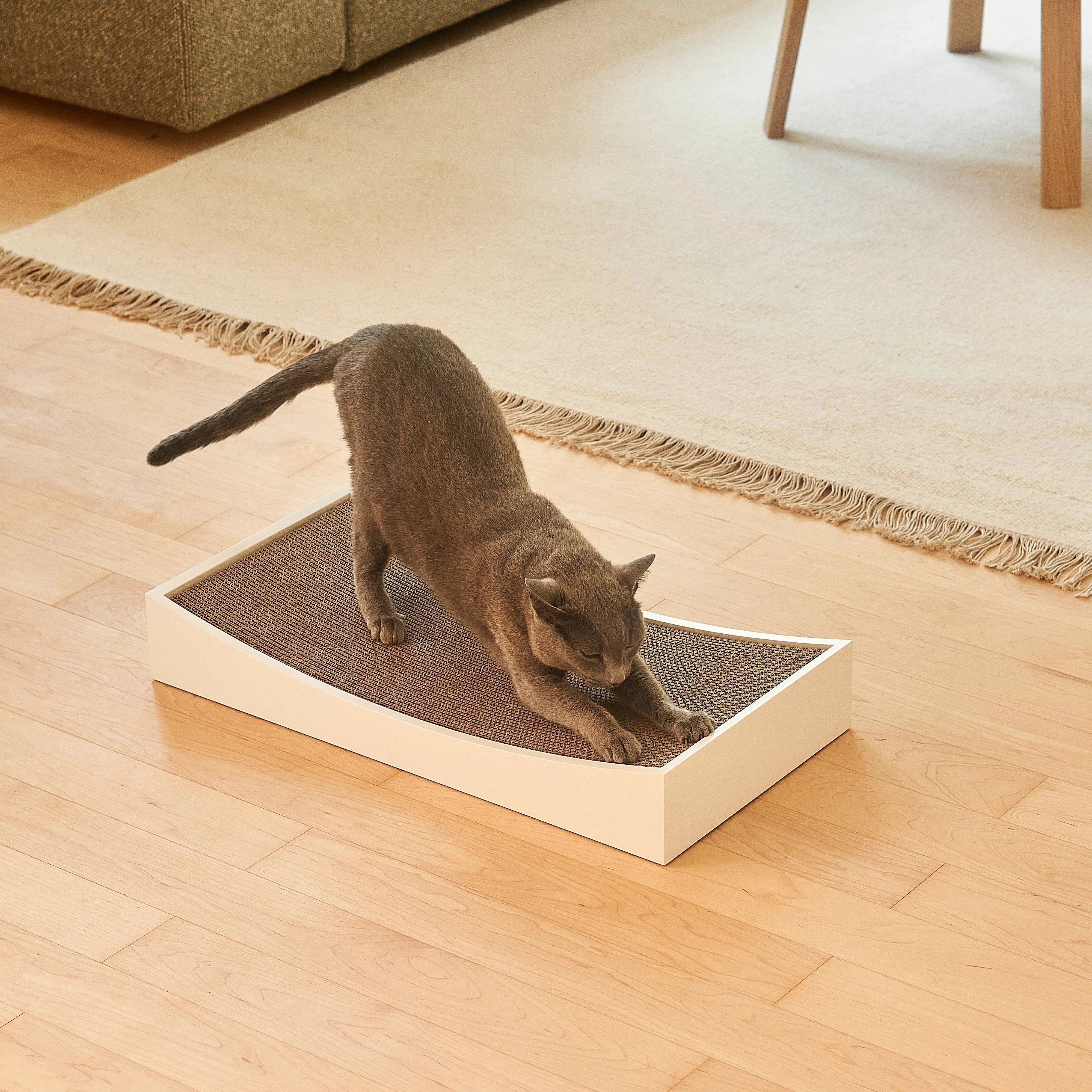 Gratta – Griffoir design et durable