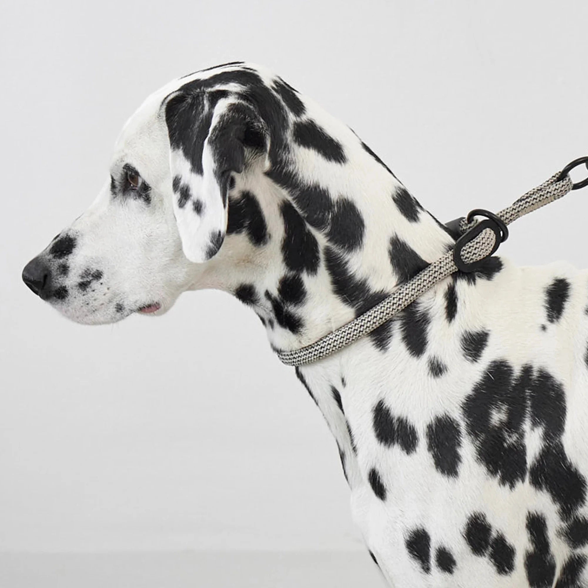 Monza – Collier design en corde nylon premium