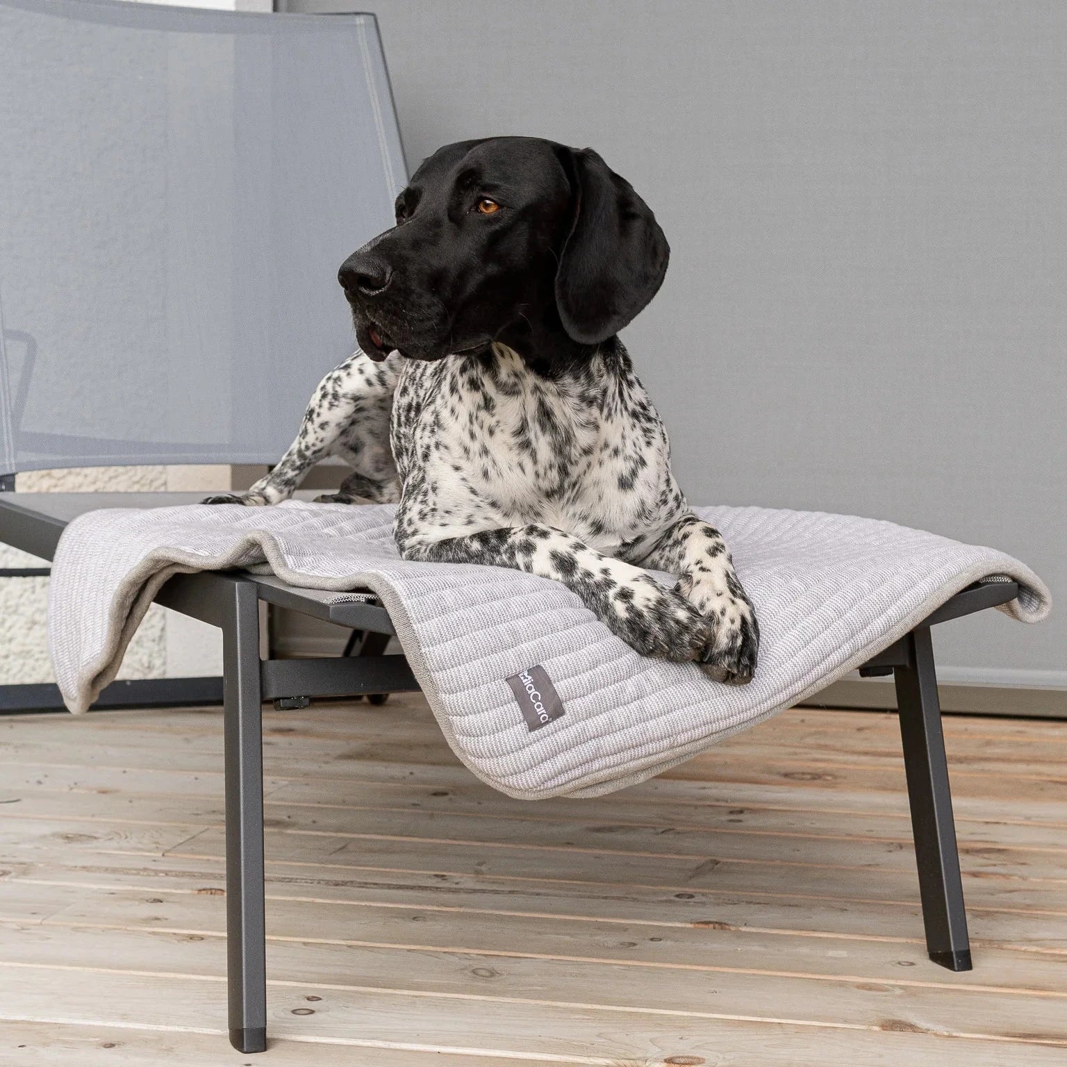 Plaid design MiaCara Onda coton rembourré pour chien