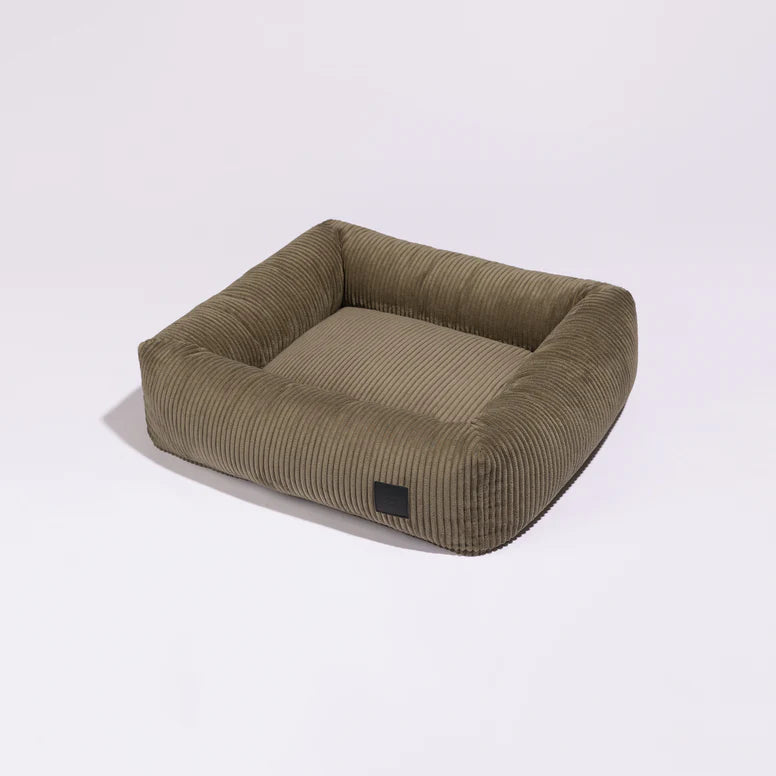 lit chien confortable et décoratif intérieur moderne