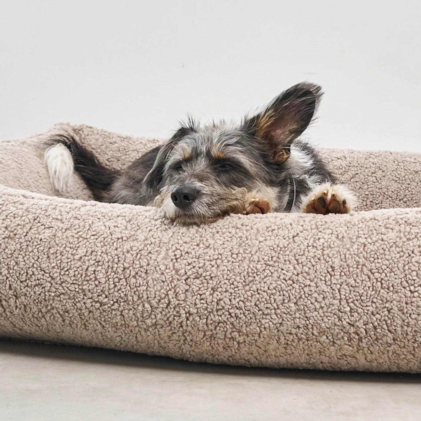 Senso – Panier bouclé