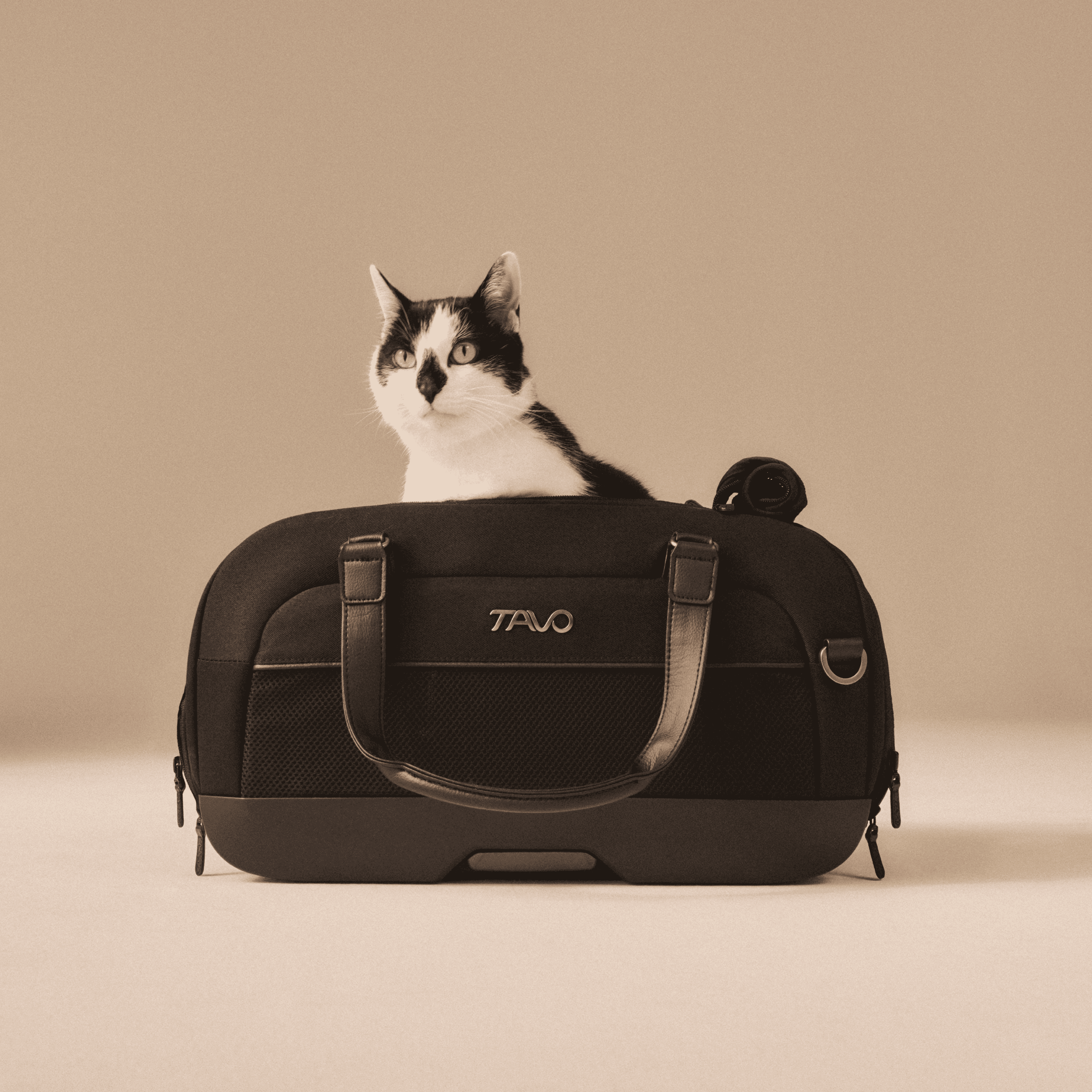 Dupree - sac de transport pour avion et siège auto