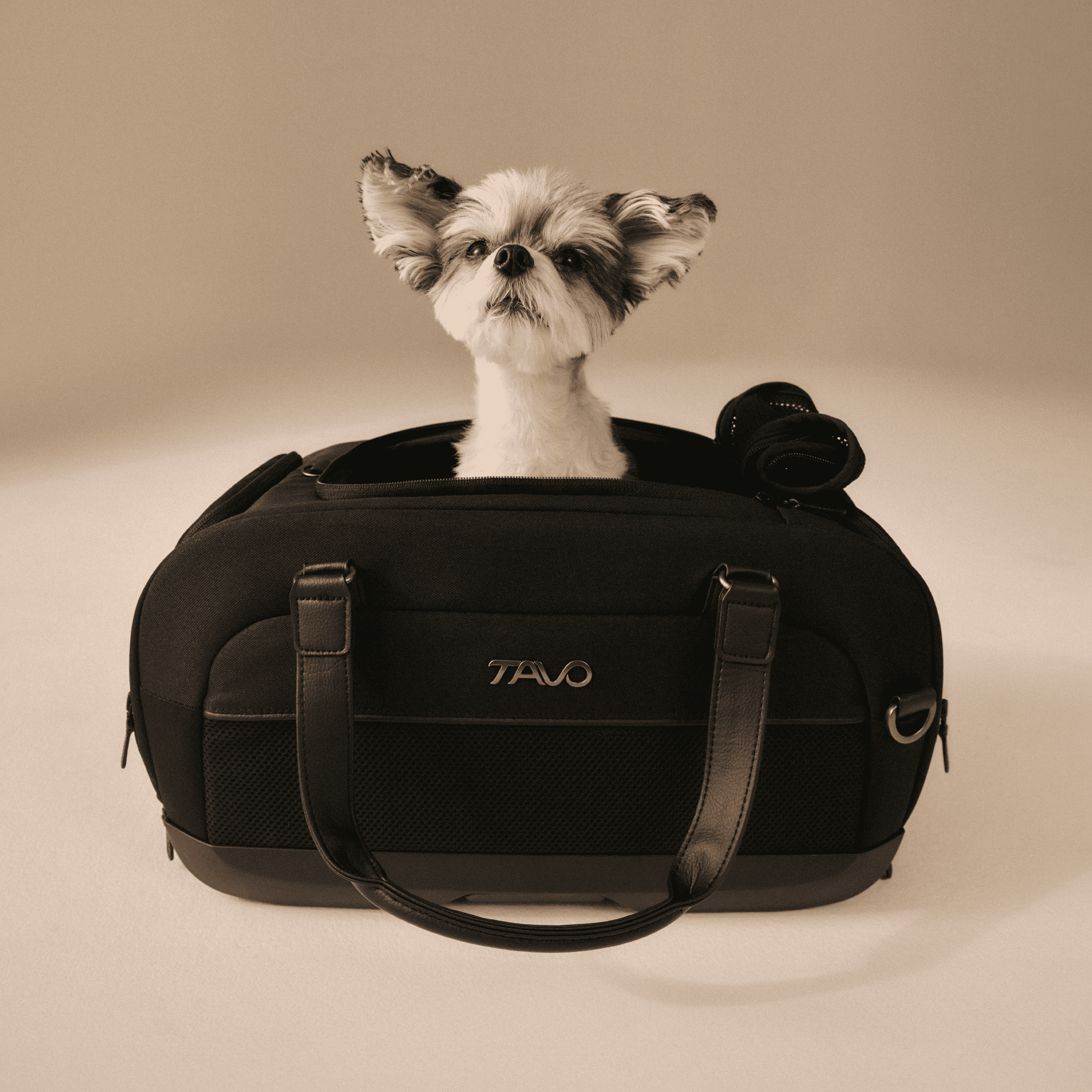 Dupree - sac de transport pour avion et siège auto