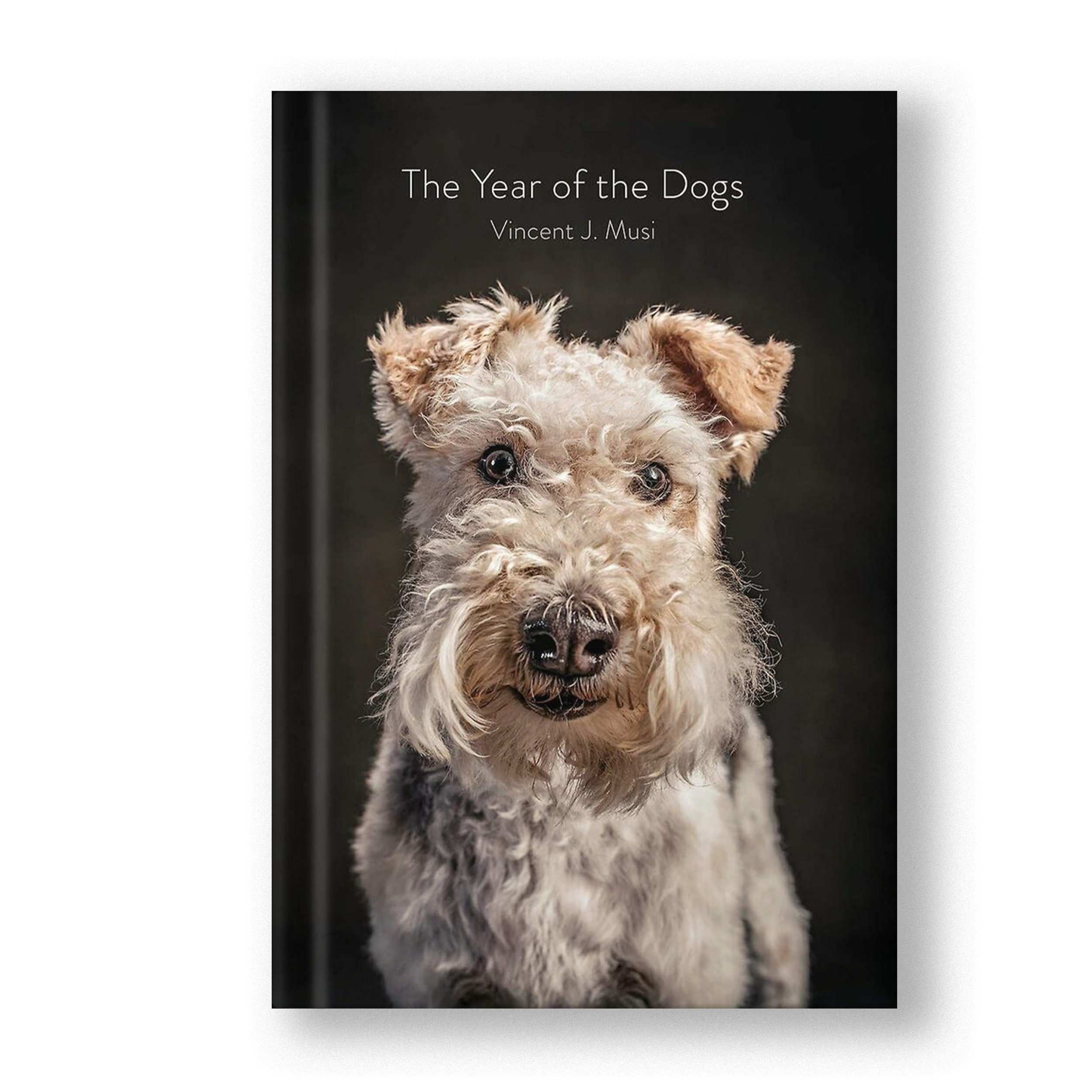THE YEAR OF THE DOGS