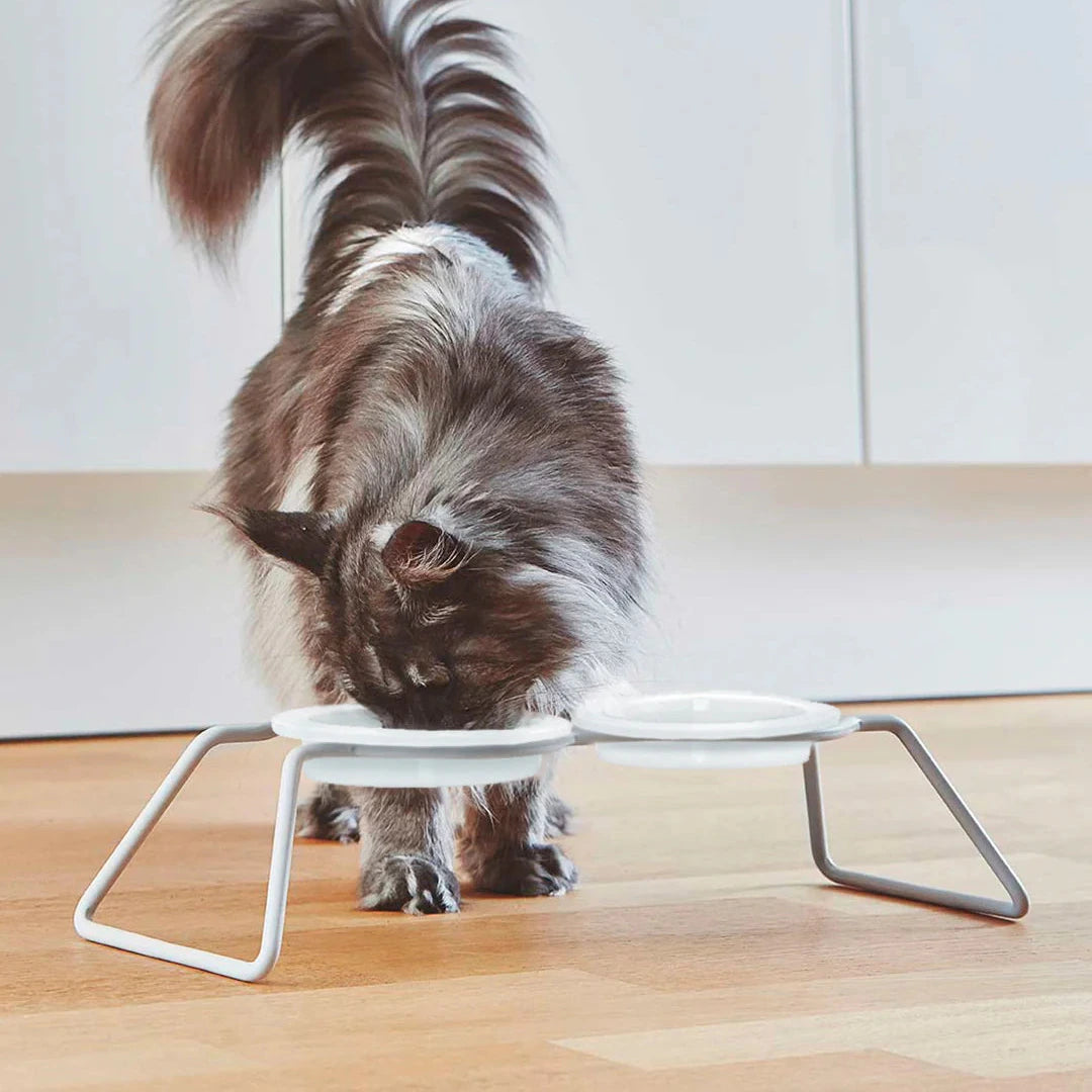 Cena – Gamelle double design en porcelaine pour chat