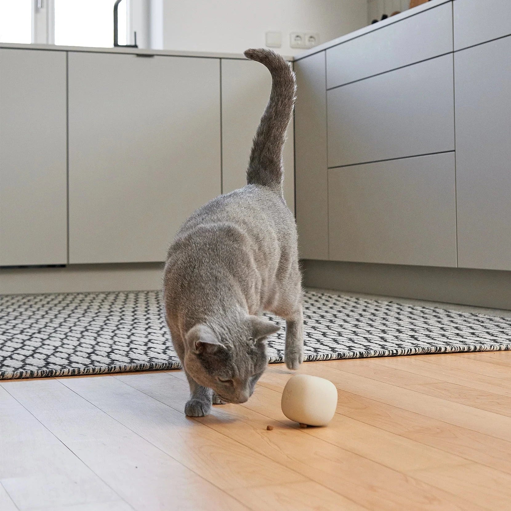 Rotolo – Jouet distributeur de friandises design pour chat