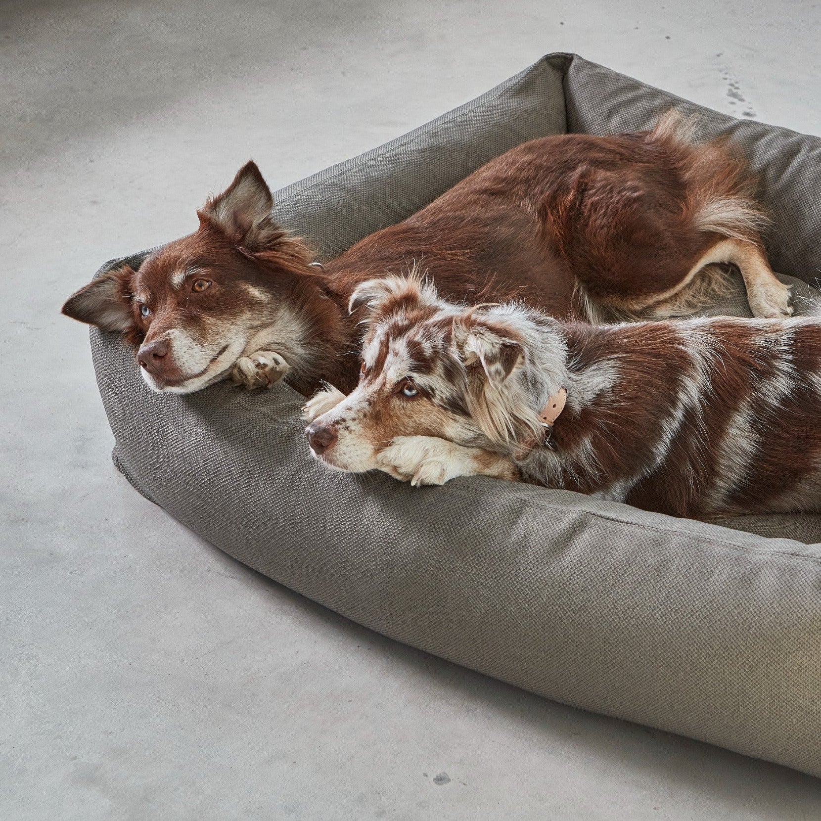 Mare – Panier écoresponsable