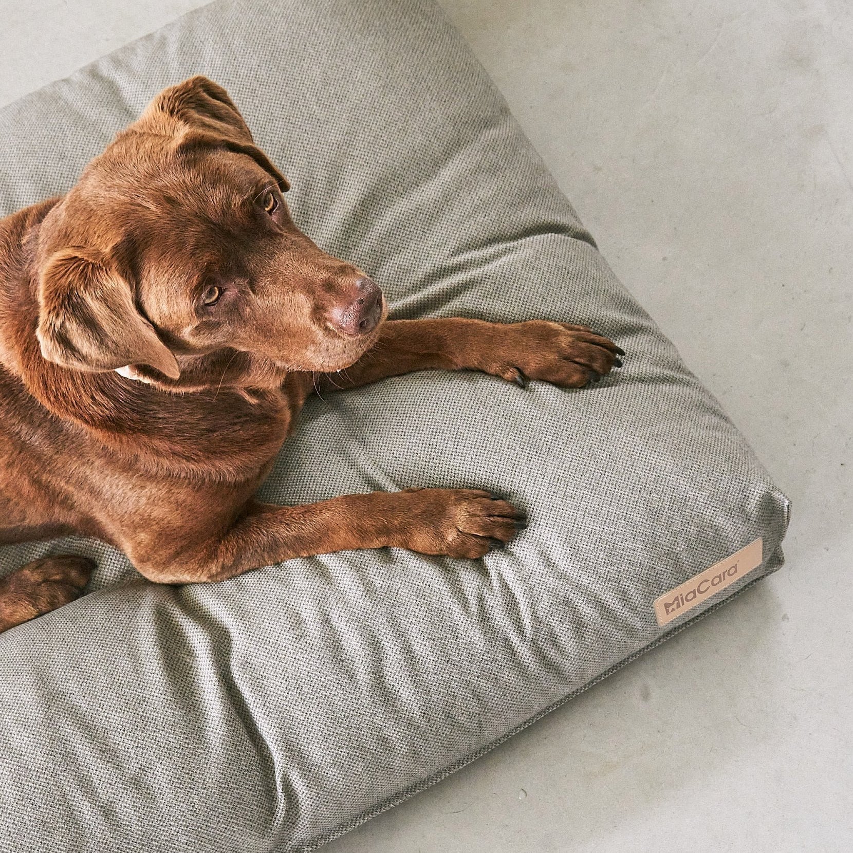 Mare – Coussin écoresponsable et orthopédique