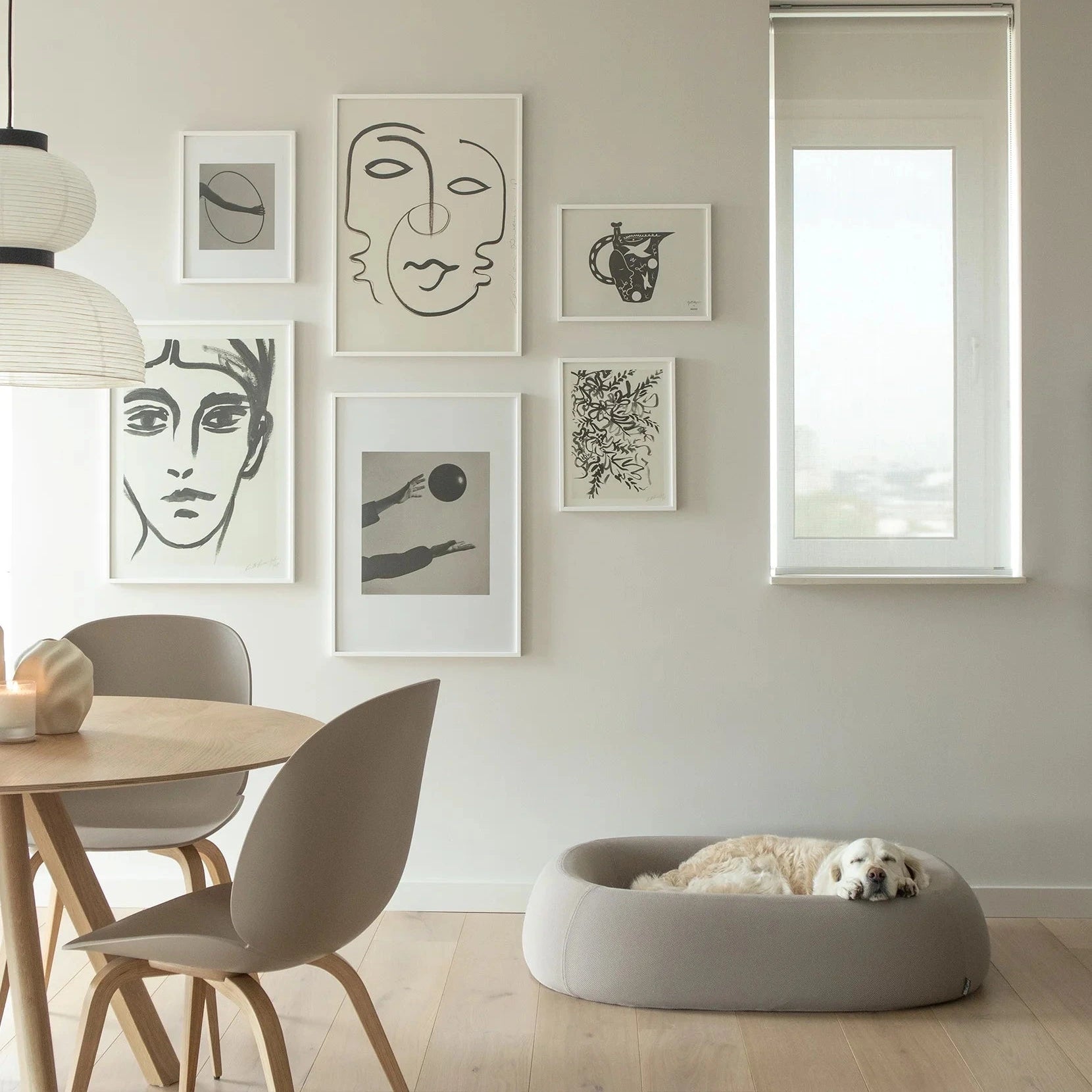 Barca panier – L’Alliance Parfaite du Style et du Confort