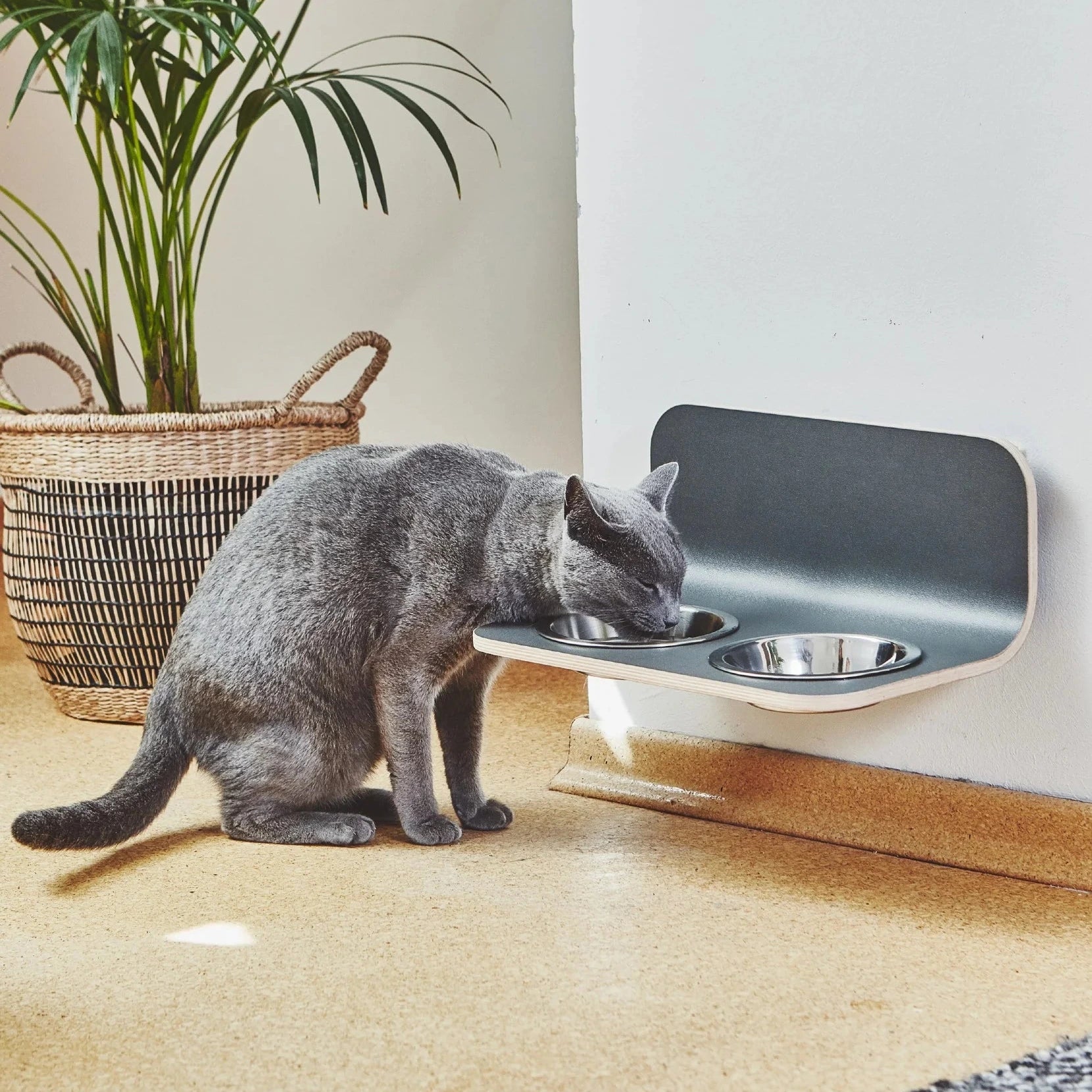 Arco – L’élégance murale au service des repas de votre chat