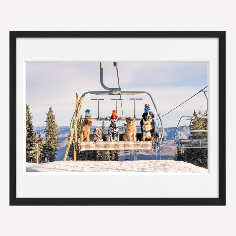 Tableau de Chiens au Ski | Chairlift Pups, Aspen - Gray Malin