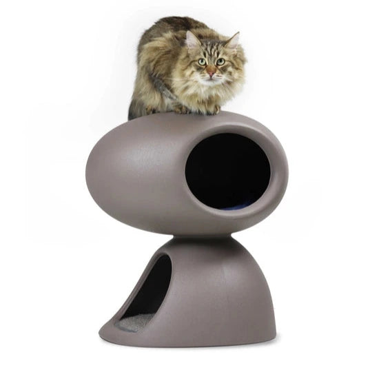 Cat Cave – Abri Design et Ludique pour Chats