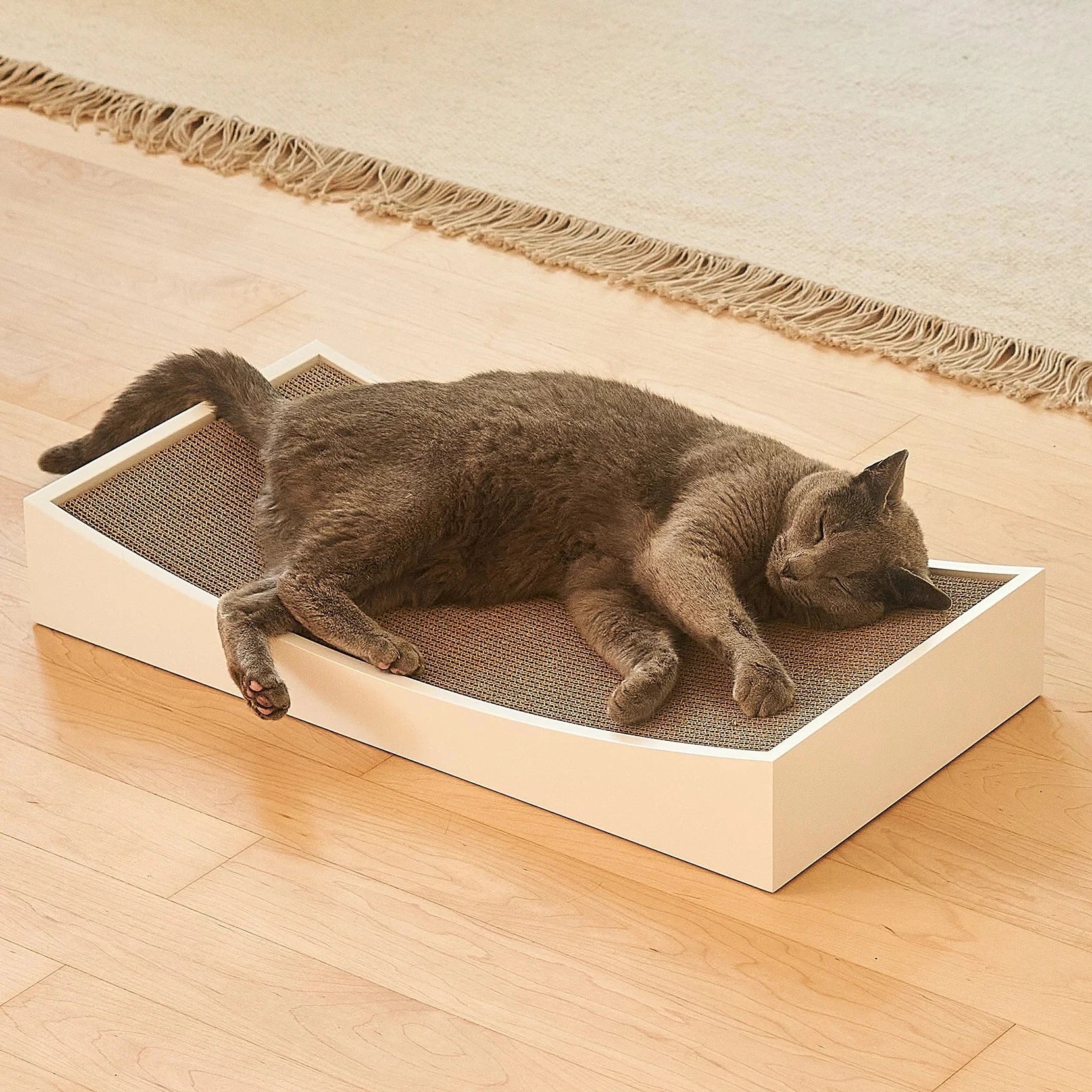 Gratta – Griffoir design et durable