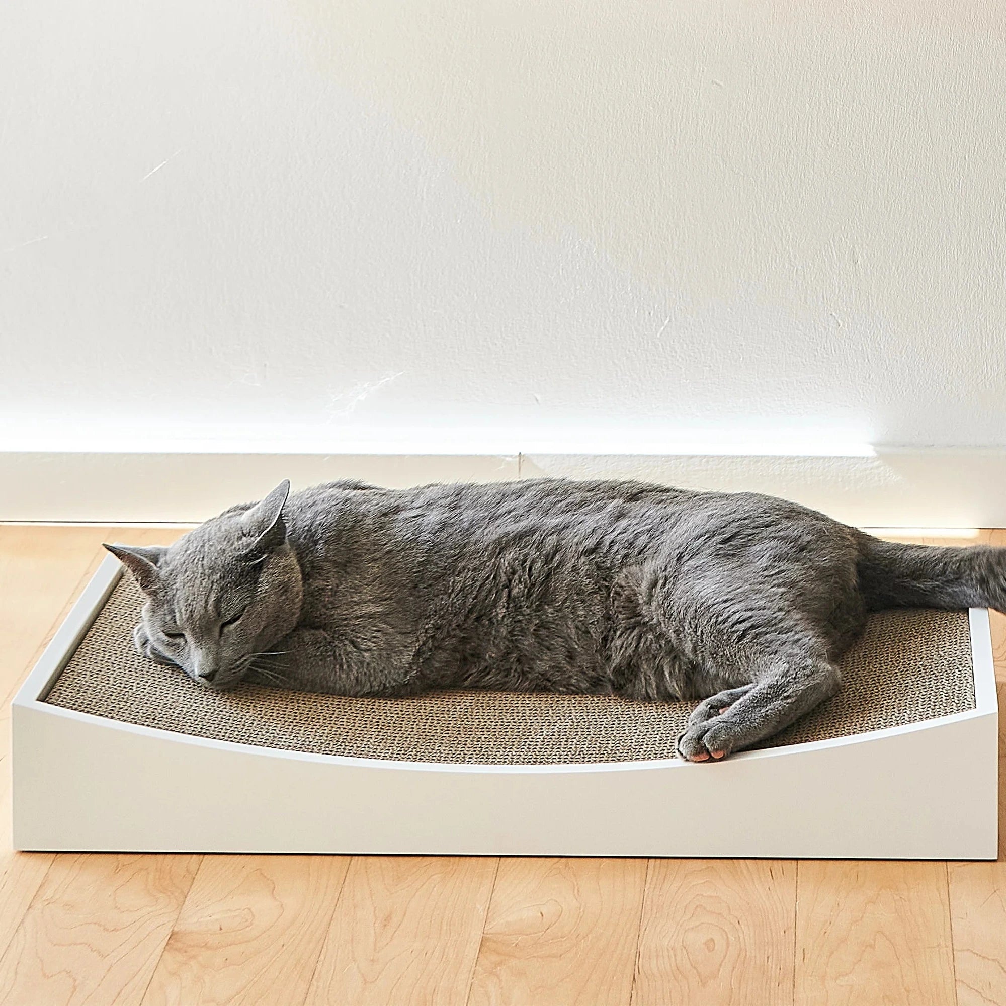 Gratta – Griffoir design et durable