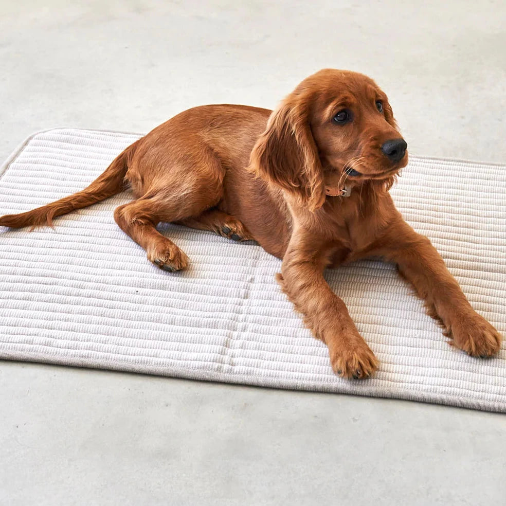 Couverture pour chien MiaCara Onda tricotée et stylée