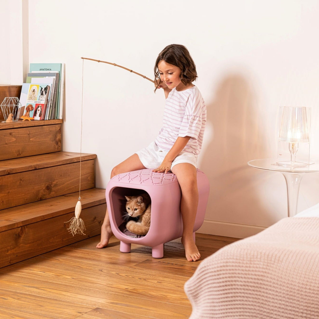 Pancuccia – Lit Design et Confortable pour Chats et Petits Chiens