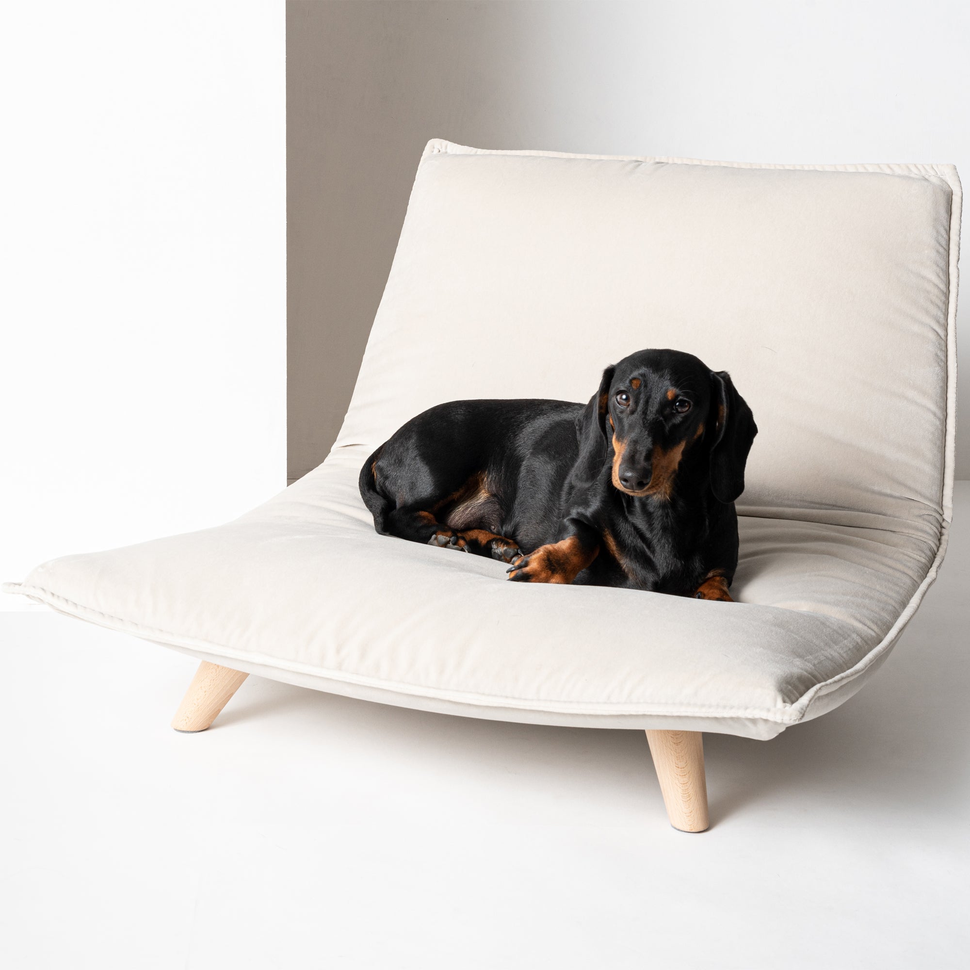 Canapé pour Chien en Velours | Boden - Luxe et Design