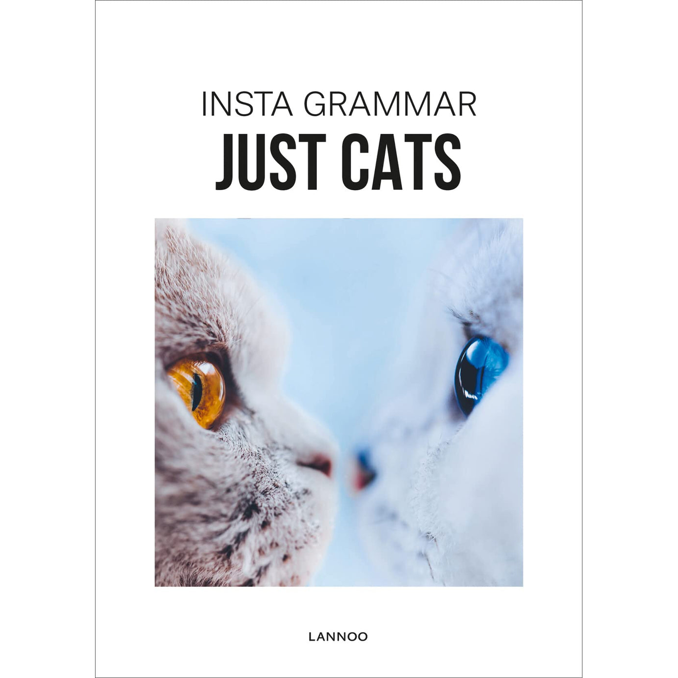 INSTA GRAMMAR JUST CATS