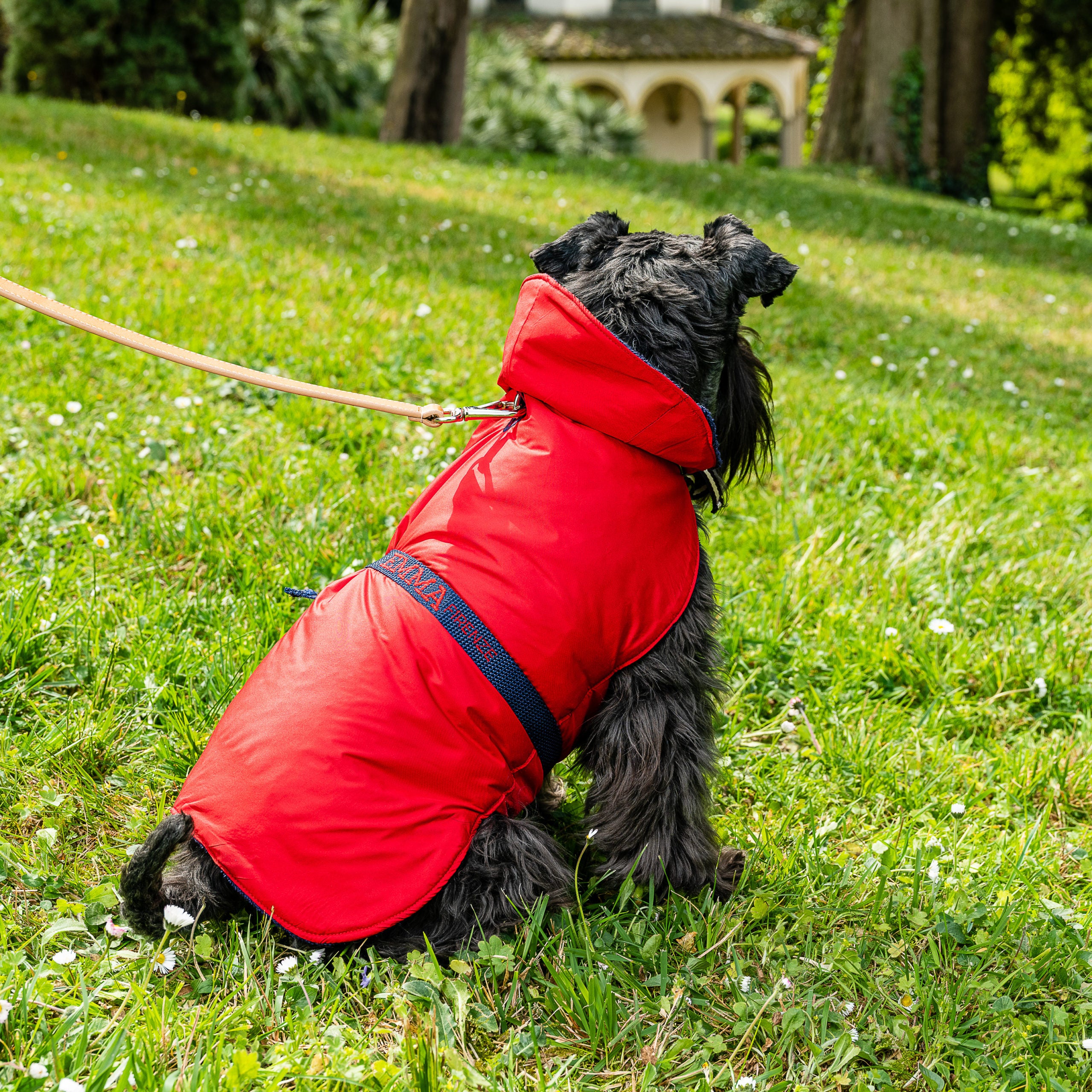 Luxury Dog Raincoat - TERRY