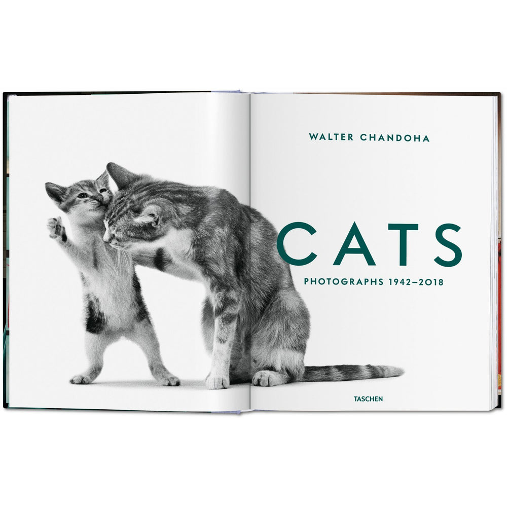 TASCHEN Books: Walter Chandoha. Cats. Photographs 1942–2018