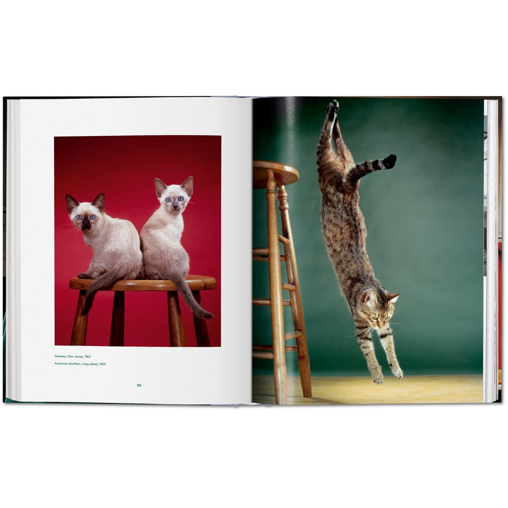 Livre sur les chats - Walter Chandoha. Cats. Photographs 1942–2018
